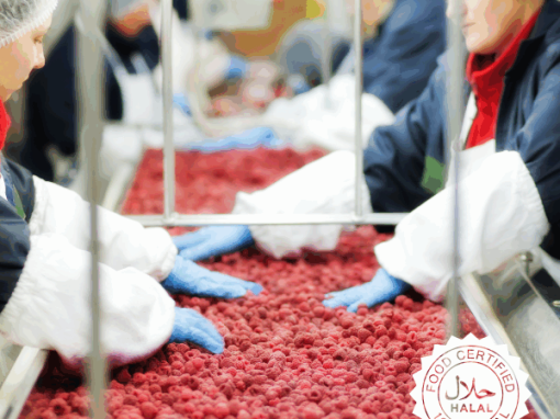 Qué es el mercado Halal y por qué América Latina tiene una gran oportunidad