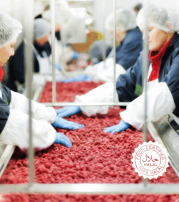 Explora qué significa realmente el concepto «Halal», más allá de lo religioso: una puerta de entrada a una economía ética, saludable y en crecimiento. ¿Cómo pueden los países latinoamericanos aprovechar este auge?